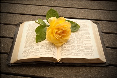 AEIS考试：你的孩子安全上网了吗？76%的新加坡教师有话说