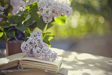 AEIS写作冲刺：三个注意事项和复习对策