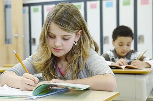 AEAS考试：维州部分公校变成“垃圾场”，究竟为何？