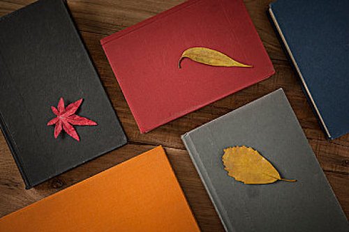 AEAS阅读技巧：易混淆词汇汇总（二）