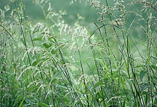 AEIS阅读技巧：看懂连接词做题更效率