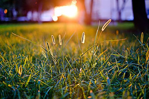 JTEST考试：日本买文具，就是满满的幸福感！