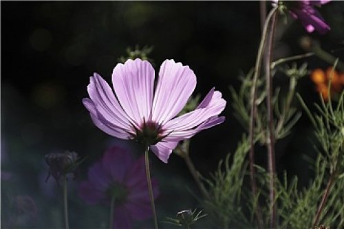 GMAT数学：四招攻克高分难关