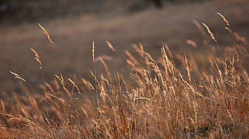 考前必看：AEIS数学你需要知道的6大思想方法