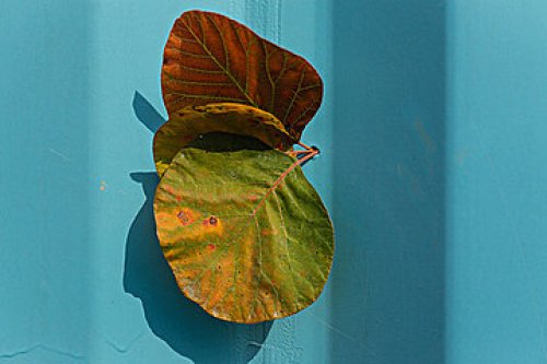 AEIS培训：精读or泛读？先选好你的专属“阅读顺序”！