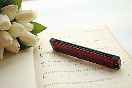 备考系列：AEIS每日高频词汇（三）