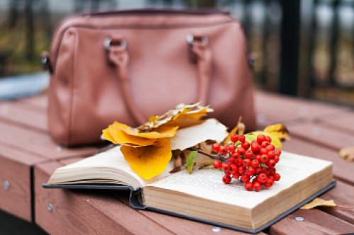 PTE阅读学术性太强？FIB答题小技巧先收藏