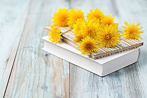 AEIS写作素材积累：最近很火的《绿皮书》经典台词