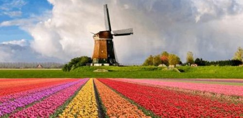 UKiset考试----英国留学,不同年龄阶段的选择