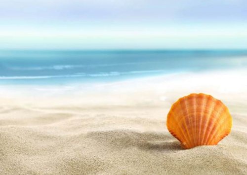 AEAS语法考试必备的基础知识（上）