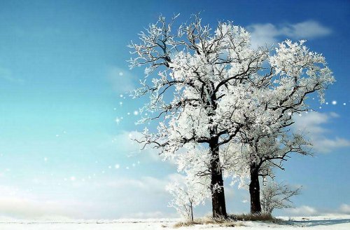 AEAS语法考试必备的基础知识（下）