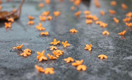 AEAS考试----语法考点,状语从句（上）