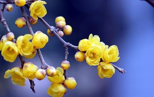 AEIS写作----学会这些常用替换AEIS词汇提升文章水平